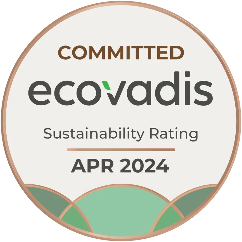 Añadir textos alternativos zinsa y remplazo de imágenes con el nuevo formato